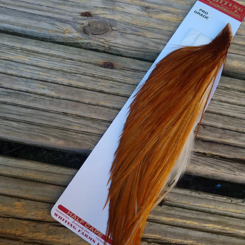 Whiting 1/2 Pro-Grade Dry Fly Rooster Cape in Medium Ginger-2